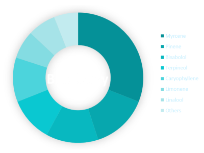 Blueberry cannabis terpenes